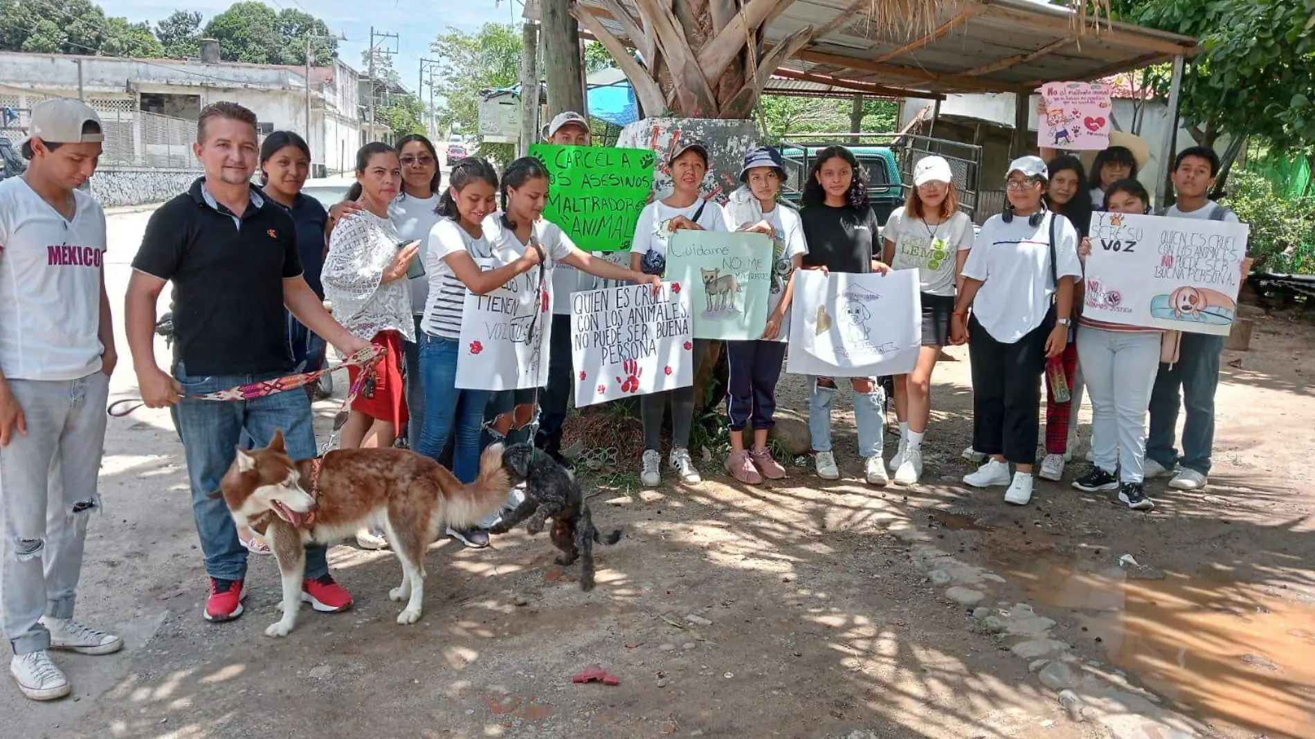 marcha contra el maltrato4